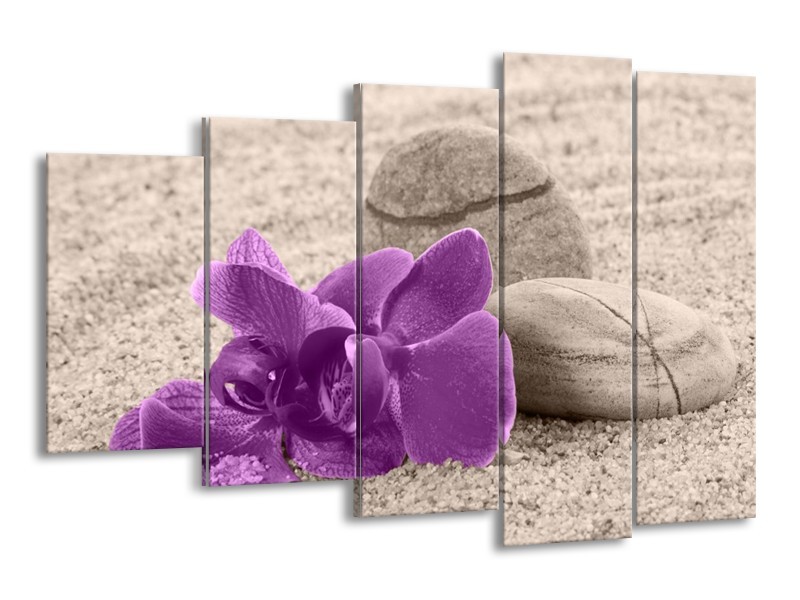 Canvas schilderij Orchidee | Paars, Grijs | 150x100cm 5Luik