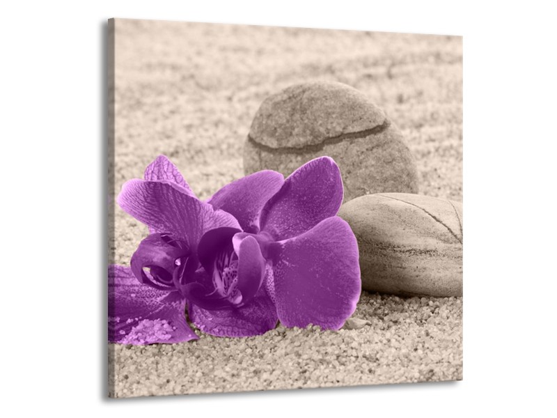 Canvas schilderij Orchidee | Paars, Grijs | 70x70cm 1Luik