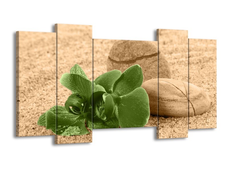 Canvas schilderij Orchidee | Groen, Bruin | 120x65 5Luik