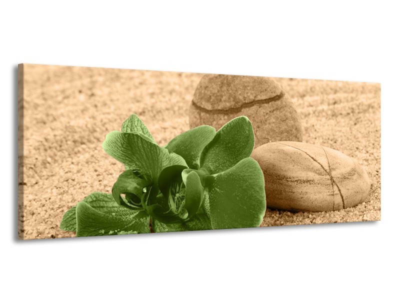 Canvas schilderij Orchidee | Groen, Bruin | 145x58cm 1Luik