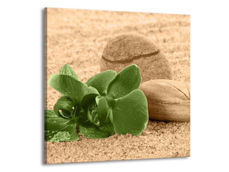 Canvas schilderij Orchidee | Groen, Bruin | 70x70cm 1Luik