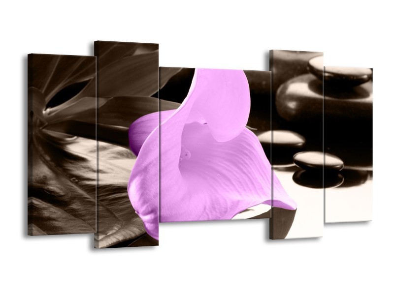 Canvas schilderij Bloem | Paars, Zwart | 120x65 5Luik