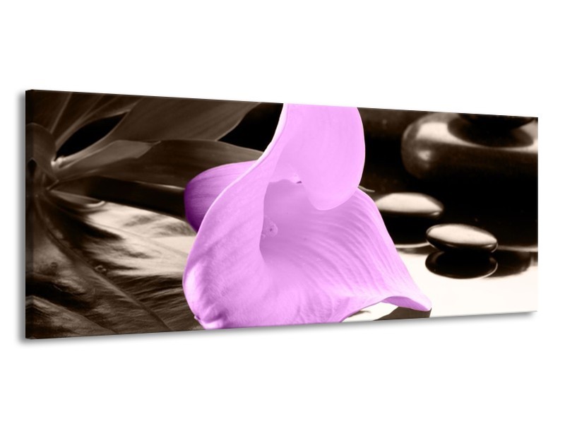 Canvas schilderij Bloem | Paars, Zwart | 145x58cm 1Luik