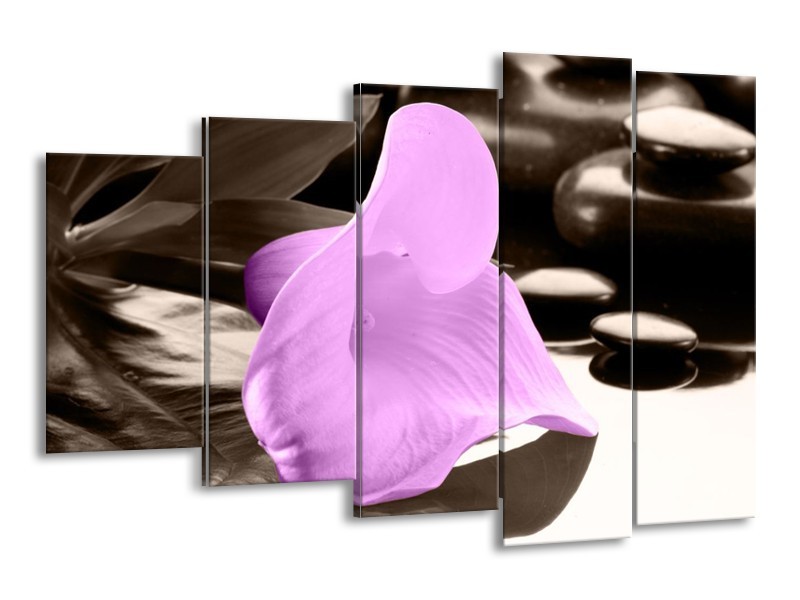 Canvas schilderij Bloem | Paars, Zwart | 150x100cm 5Luik