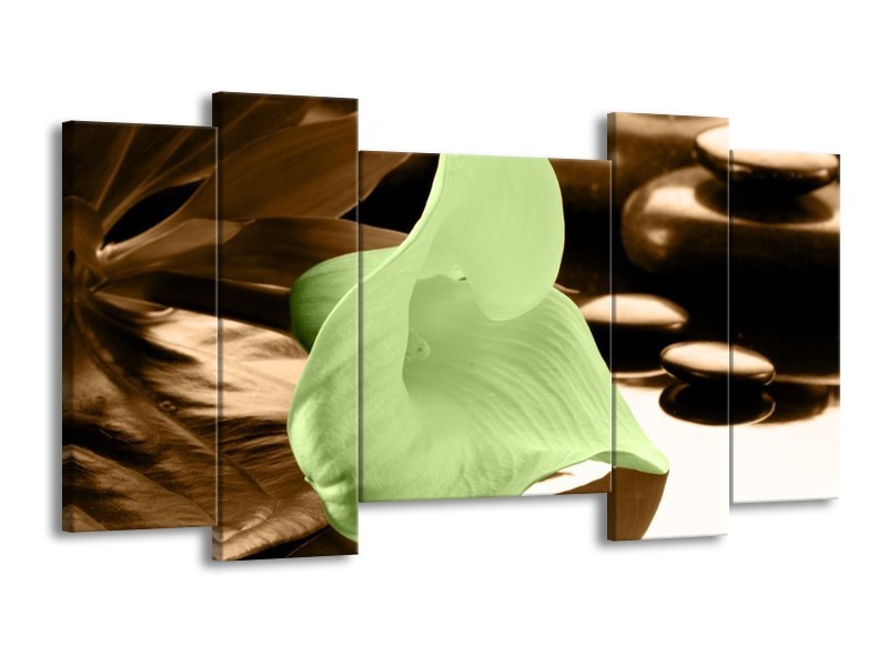Canvas schilderij Bloem | Groen, Bruin | 120x65 5Luik