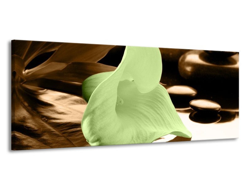 Canvas schilderij Bloem | Groen, Bruin | 145x58cm 1Luik