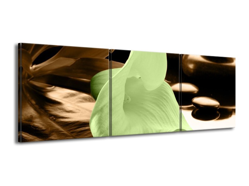 Canvas schilderij Bloem | Groen, Bruin | 150x50cm 3Luik