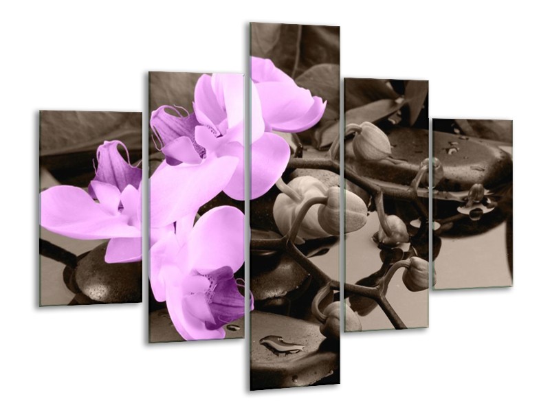Canvas schilderij Orchidee | Paars, Grijs | 100x70cm 5Luik