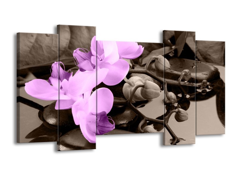 Canvas schilderij Orchidee | Paars, Grijs | 120x65 5Luik