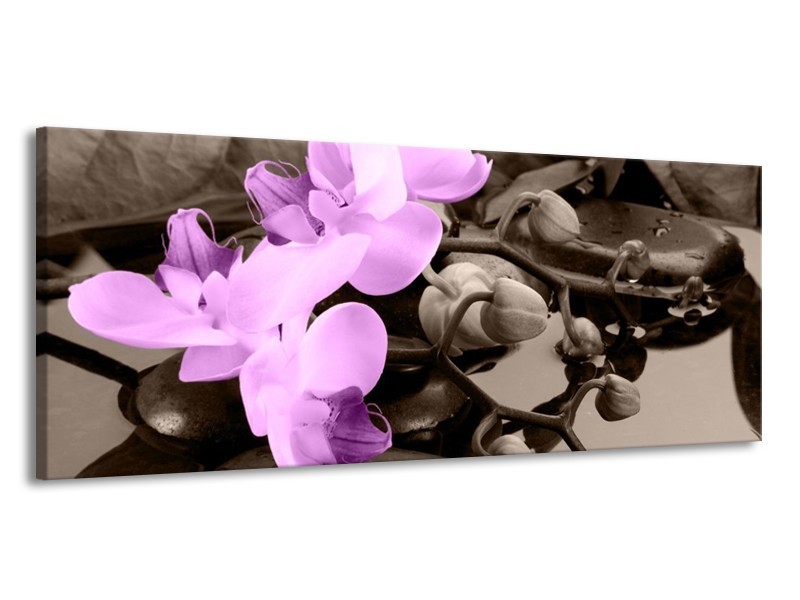Canvas schilderij Orchidee | Paars, Grijs | 145x58cm 1Luik
