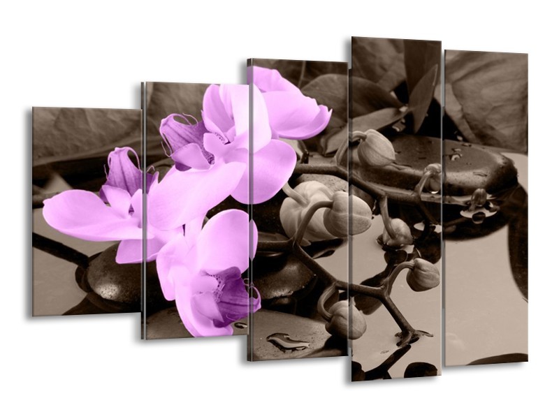 Canvas schilderij Orchidee | Paars, Grijs | 150x100cm 5Luik