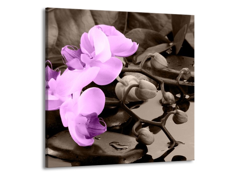 Canvas schilderij Orchidee | Paars, Grijs | 70x70cm 1Luik