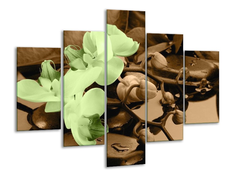 Canvas schilderij Orchidee | Groen, Bruin | 100x70cm 5Luik