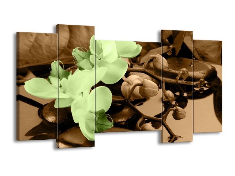 Canvas schilderij Orchidee | Groen, Bruin | 120x65 5Luik