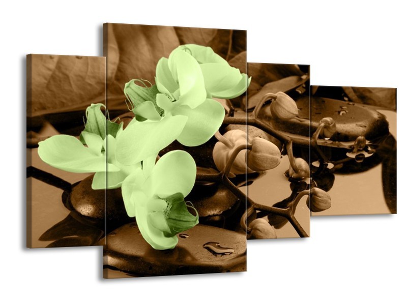 Canvas schilderij Orchidee | Groen, Bruin | 120x75cm 4Luik