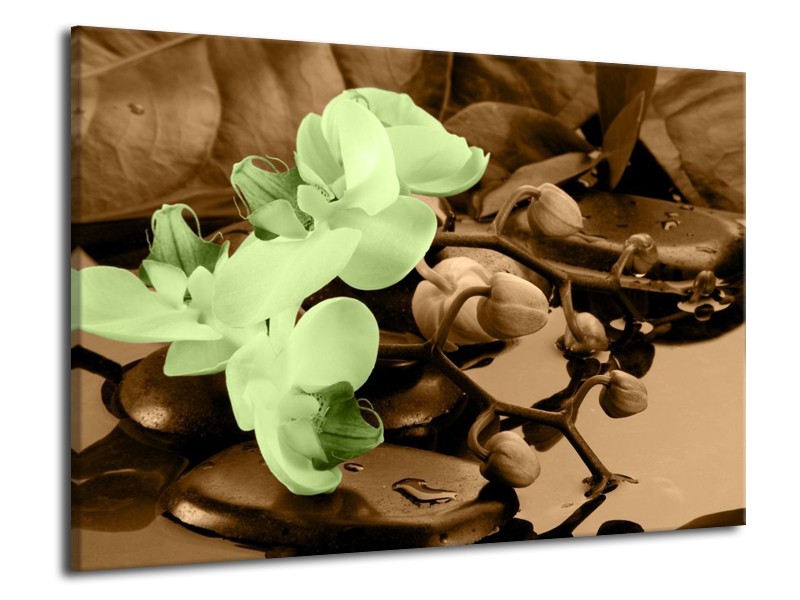 Canvas schilderij Orchidee | Groen, Bruin | 70x50cm 1Luik