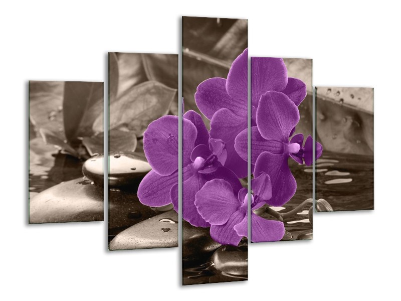 Canvas schilderij Orchidee | Paars, Grijs | 100x70cm 5Luik