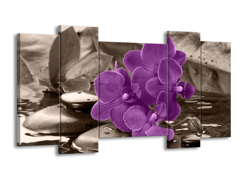 Canvas schilderij Orchidee | Paars, Grijs | 120x65 5Luik