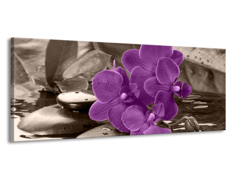 Canvas schilderij Orchidee | Paars, Grijs | 145x58cm 1Luik