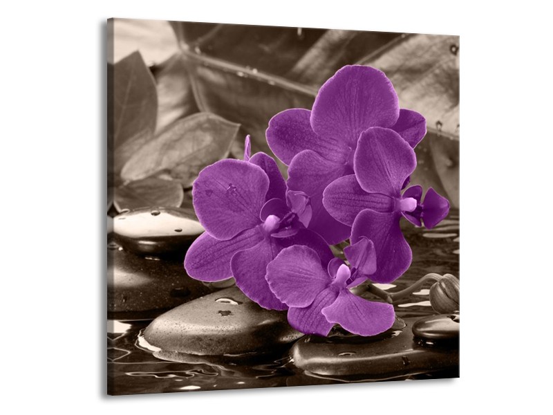Canvas schilderij Orchidee | Paars, Grijs | 70x70cm 1Luik