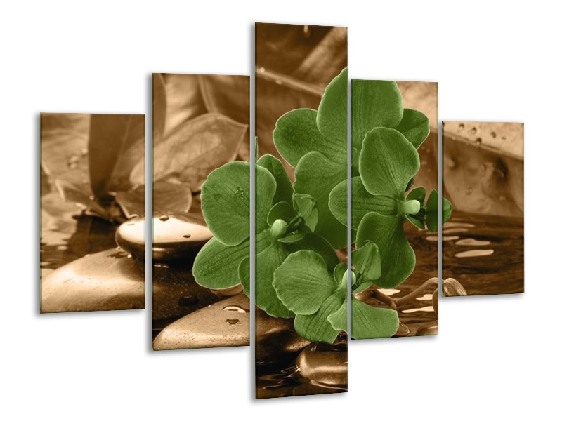 Canvas schilderij Orchidee | Groen, Bruin | 100x70cm 5Luik