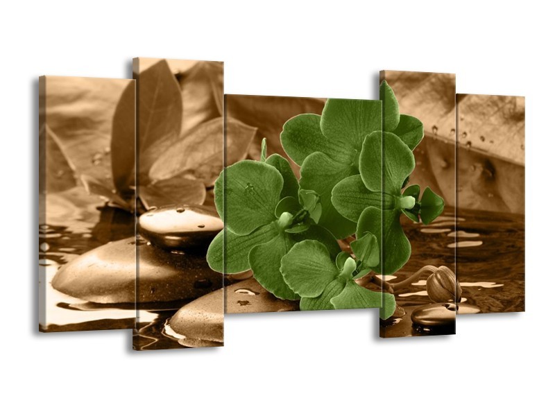 Canvas schilderij Orchidee | Groen, Bruin | 120x65 5Luik