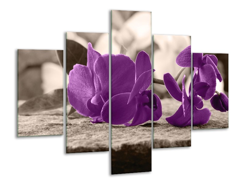 Canvas schilderij Orchidee | Paars, Grijs | 100x70cm 5Luik
