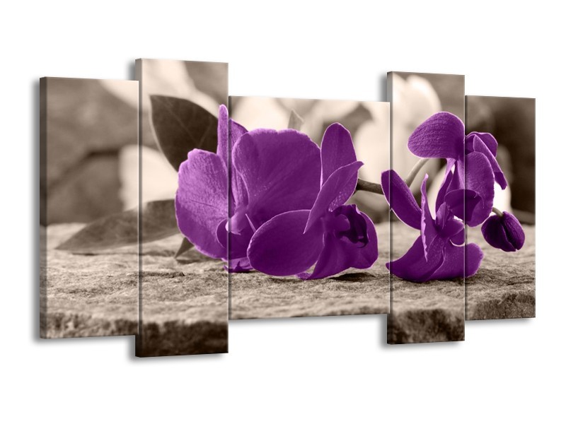 Canvas schilderij Orchidee | Paars, Grijs | 120x65 5Luik