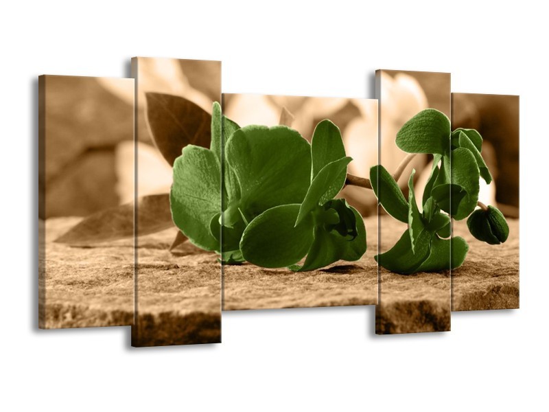 Canvas schilderij Orchidee | Groen, Bruin | 120x65 5Luik