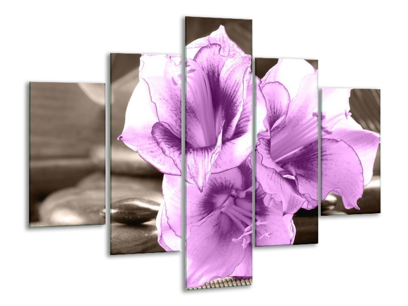 Canvas schilderij Orchidee | Paars, Grijs | 100x70cm 5Luik