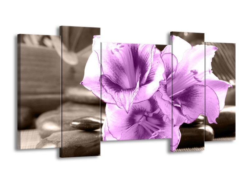 Canvas schilderij Orchidee | Paars, Grijs | 120x65 5Luik