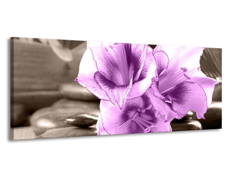 Canvas schilderij Orchidee | Paars, Grijs | 145x58cm 1Luik