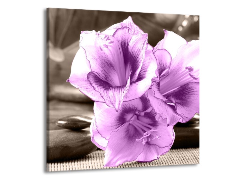 Canvas schilderij Orchidee | Paars, Grijs | 70x70cm 1Luik
