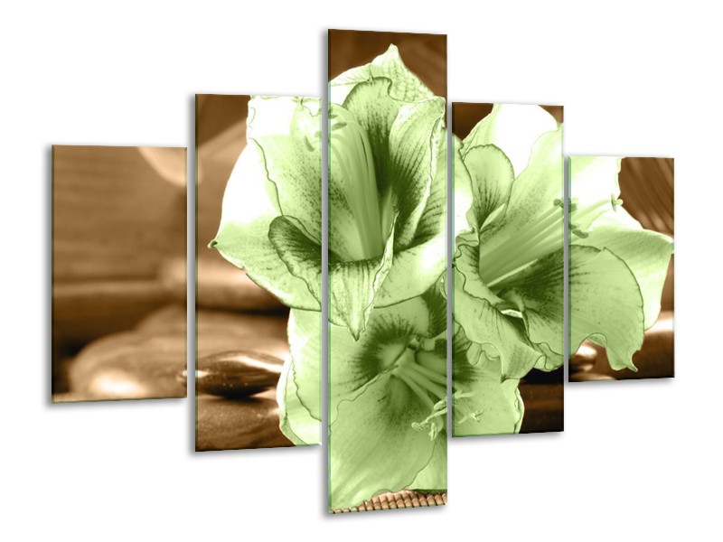 Canvas schilderij Orchidee | Groen, Bruin | 100x70cm 5Luik