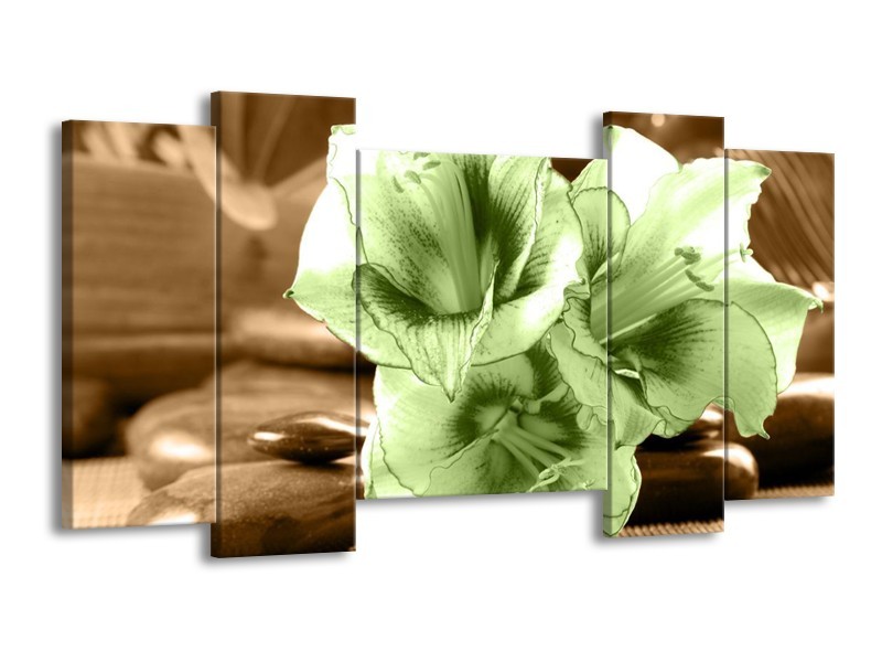 Canvas schilderij Orchidee | Groen, Bruin | 120x65 5Luik