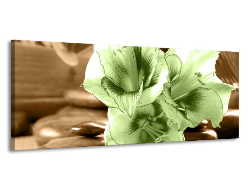 Canvas schilderij Orchidee | Groen, Bruin | 145x58cm 1Luik