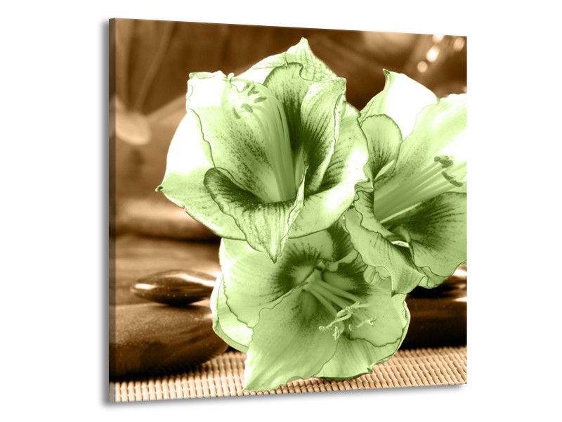 Canvas schilderij Orchidee | Groen, Bruin | 70x70cm 1Luik