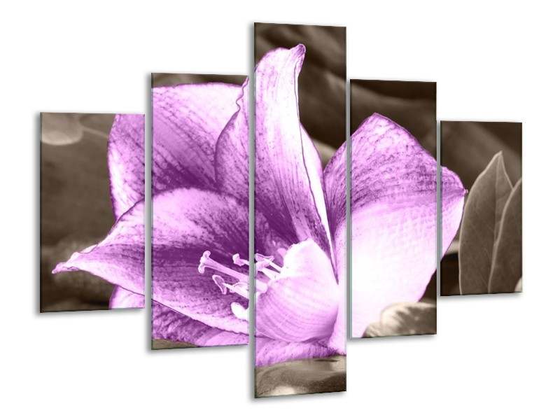 Canvas schilderij Bloem | Paars, Grijs | 100x70cm 5Luik