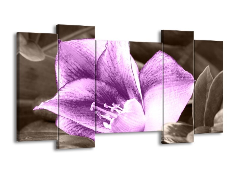 Canvas schilderij Bloem | Paars, Grijs | 120x65 5Luik