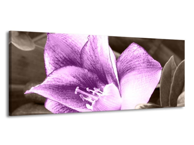 Canvas schilderij Bloem | Paars, Grijs | 145x58cm 1Luik