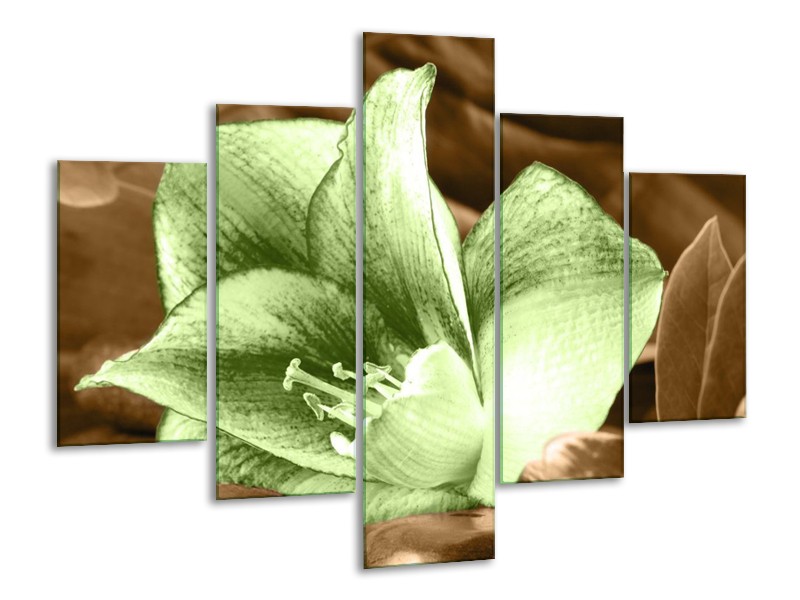 Canvas schilderij Bloem | Groen, Bruin | 100x70cm 5Luik