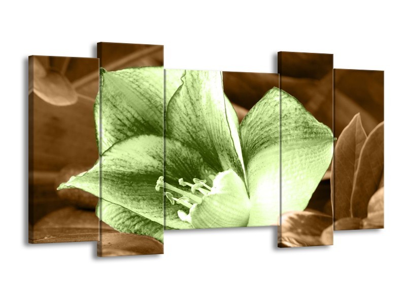 Canvas schilderij Bloem | Groen, Bruin | 120x65 5Luik