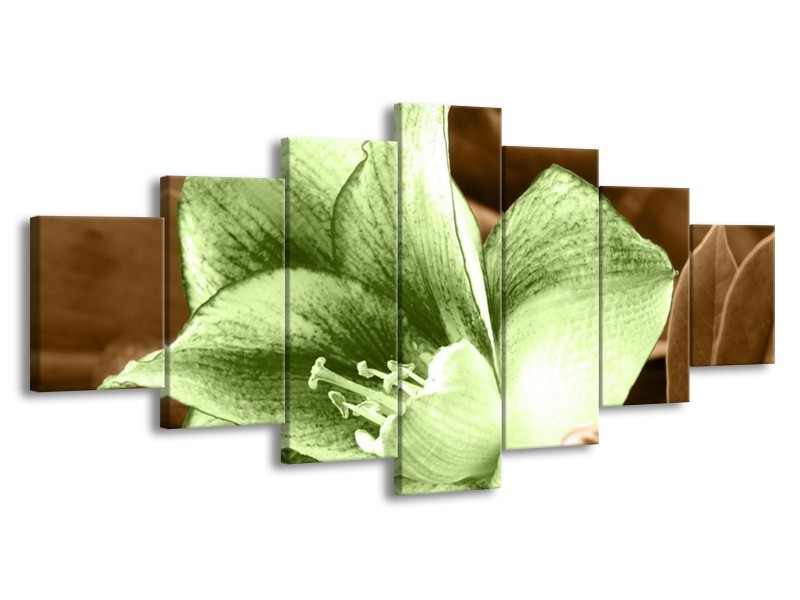 Canvas schilderij Bloem | Groen, Bruin | 210x100cm 7Luik