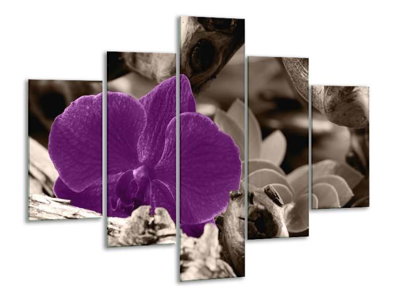 Canvas schilderij Orchidee | Paars, Grijs | 100x70cm 5Luik