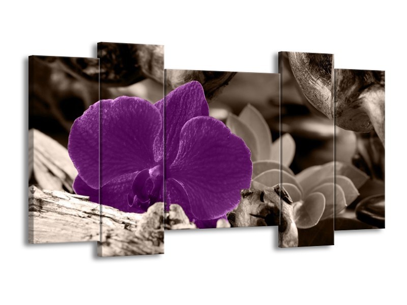 Canvas schilderij Orchidee | Paars, Grijs | 120x65 5Luik