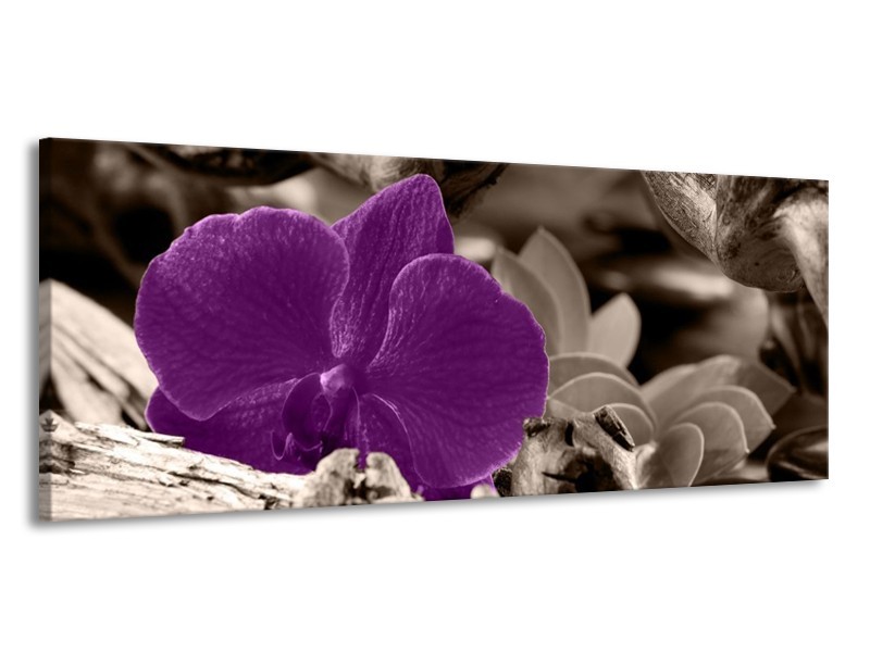 Canvas schilderij Orchidee | Paars, Grijs | 145x58cm 1Luik