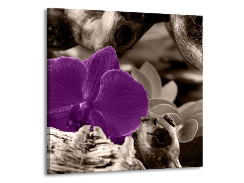 Canvas schilderij Orchidee | Paars, Grijs | 70x70cm 1Luik