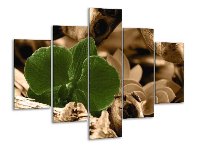 Canvas schilderij Orchidee | Groen, Bruin | 100x70cm 5Luik