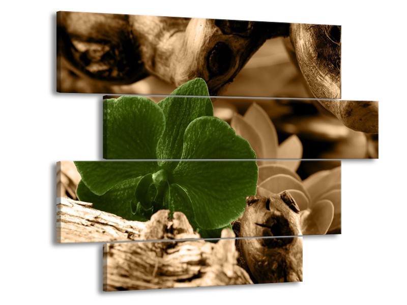 Canvas schilderij Orchidee | Groen, Bruin | 115x85cm 4Luik