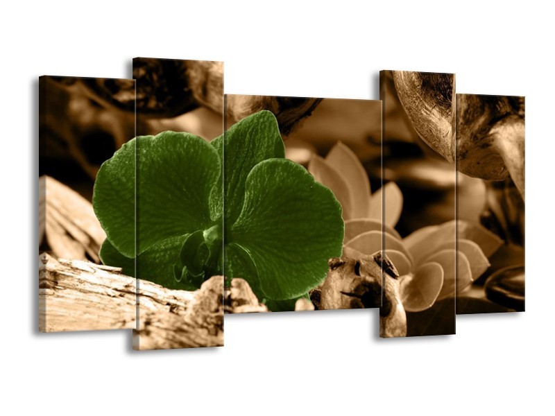 Canvas schilderij Orchidee | Groen, Bruin | 120x65 5Luik
